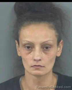 Mugshot of DENESSA ANN HAMILTON