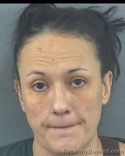 Mugshot of BRANDIE LYNN BOSWELL