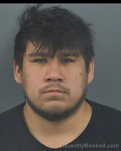 Mugshot of BRENT LEE DAUPHINAIS