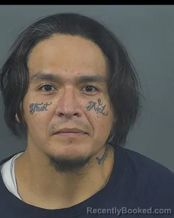 Mugshot of WOODY BIRD