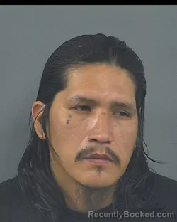 Mugshot of MICHAEL DEAN STAND