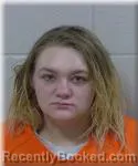 Mugshot of Shyann Van-Meter