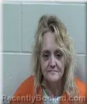 Mugshot of Melissa Anderson