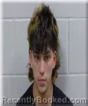 Mugshot of Emerson Gomez Soza