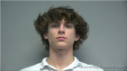 Mugshot of Nazar Golikov