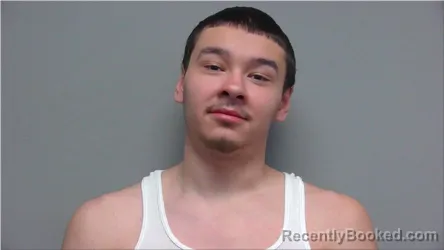 Mugshot of Elias Hernandez booked in Walworth County, Wisconsin on March 10, 2026