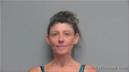 Mugshot of Mirjana Petrovich booked in Walworth County, Wisconsin on July 16, 2026