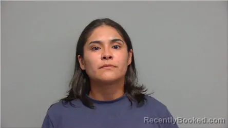 Mugshot of Destiny Romero booked in Walworth County, Wisconsin on July 27, 2026