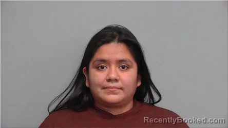 Mugshot of Tania Garcia Diaz booked in Walworth County, Wisconsin on July 29, 2026