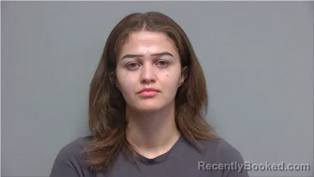 Mugshot of Nicolette Owens booked in Walworth County, Wisconsin on August 16, 2026