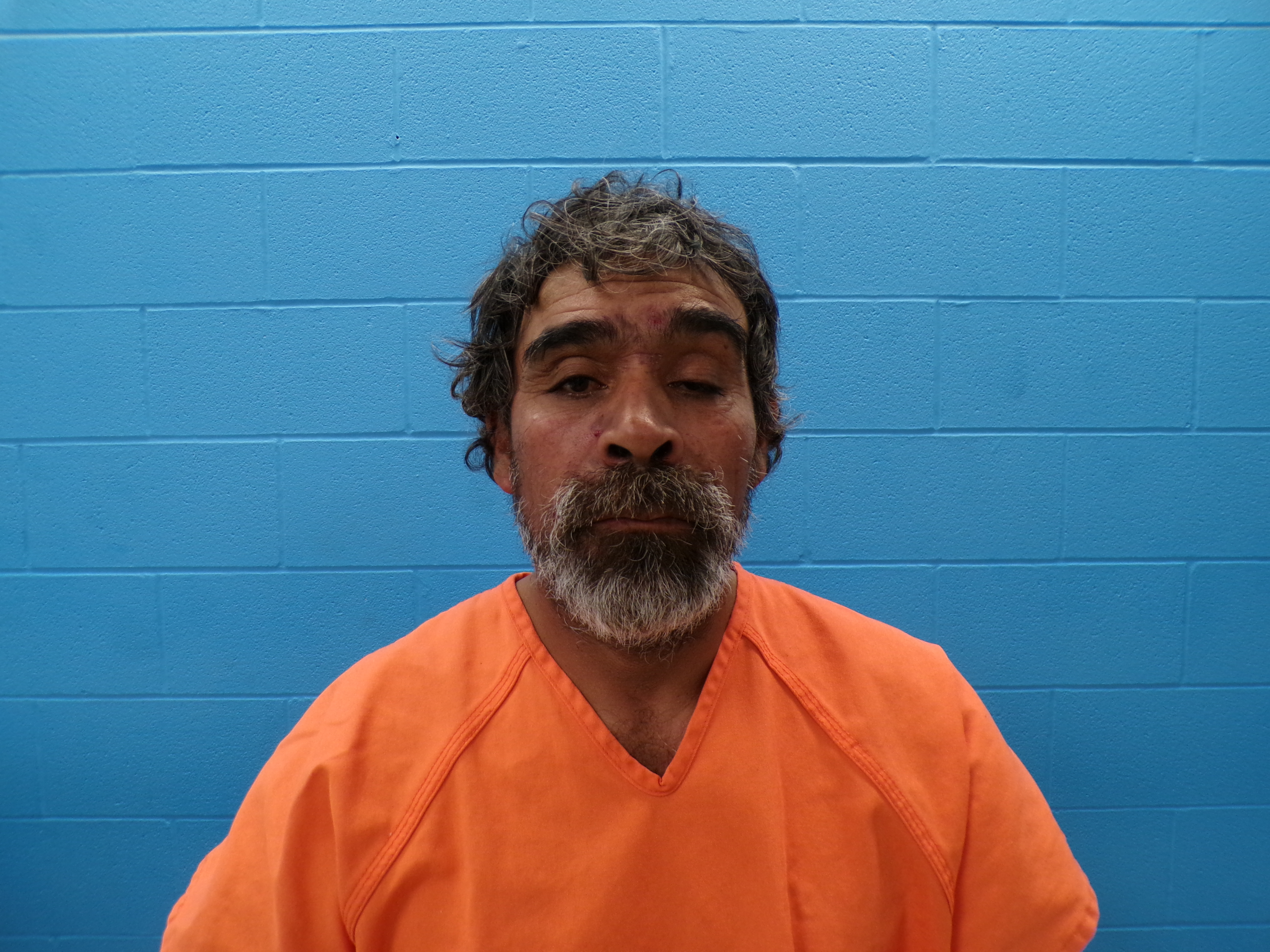 Booking photo from Guadalupe County, Texas