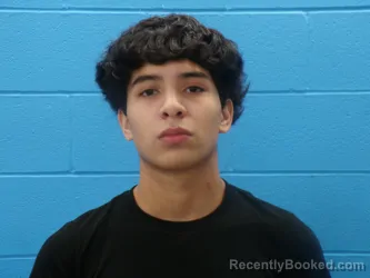 Mugshot of ANGEL GUADALUPE VARGAS