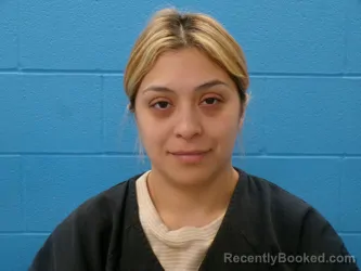 Mugshot of ROBERT J TINSLEY