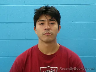 Mugshot of JONATHAN ALEJANDRO RAMOS