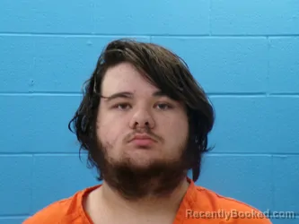 Mugshot of ZACHARY RICHARD ALEXANDER WILLIAMS