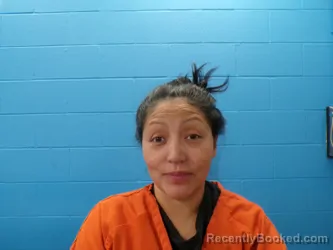 Mugshot of SHARON PENA