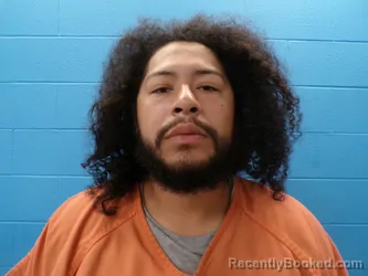 Mugshot of DIEGO GONZALES