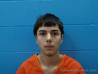 Mugshot of JORGE LUIS VARGAS