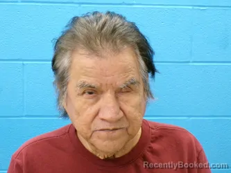 Mugshot of RAUL A OLIVO