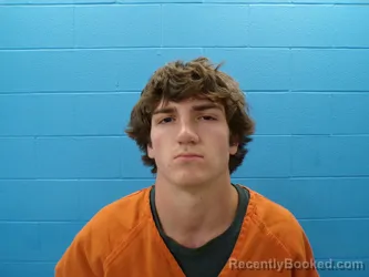 Mugshot of LUKE VAN VOGEL