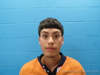 Mugshot of SERGIO JR OLVERA