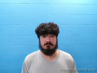 Mugshot of DANIEL DA SILVA CERES