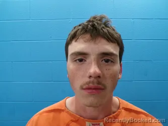 Mugshot of ARRON AVERY LIPPS