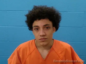 Mugshot of KENNETH GREENWALD