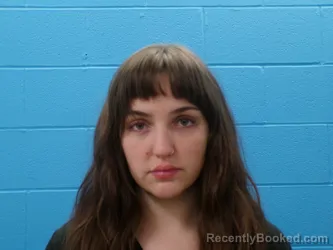 Mugshot of WHITLEY MARIE WILKERSON booked in Guadalupe County, Texas on March 15, 2026