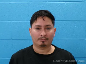 Mugshot of WILFREDO JOSE PINEDA ALVAREZ