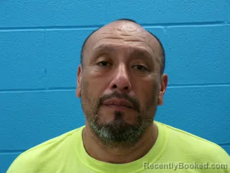 Mugshot of GENARO TORRES