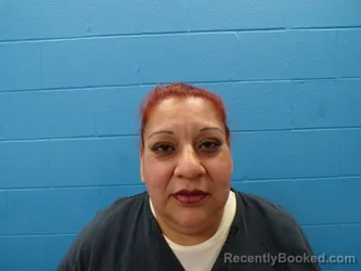 Mugshot of IRENE PEREZ GUADARRAMA