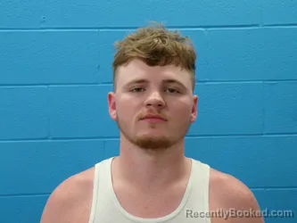 Mugshot of TISON LAWRENCE MAUPPIN