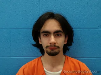 Mugshot of ASHTON MITCHELL BROSI