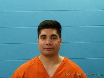 Mugshot of DOMINIC TAVAI