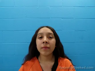 Mugshot of FAITH JANEL KING