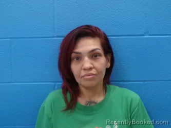 Mugshot of DENISE ANN VASQUEZ booked in Guadalupe County, Texas on April 3, 2026