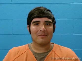 Mugshot of ANDRES PALOMARES booked in Guadalupe County, Texas on April 14, 2026