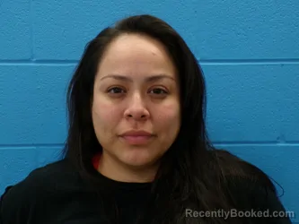 Mugshot of ASHLEY NICOLE OLVERA booked in Guadalupe County, Texas on April 16, 2026