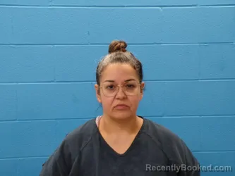 Mugshot of APRIL CASTILLO booked in Guadalupe County, Texas on April 28, 2026