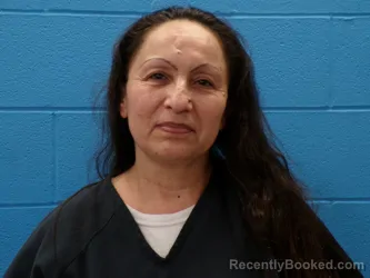Mugshot of MONICA KINSER CONTRERAS booked in Guadalupe County, Texas on April 29, 2026