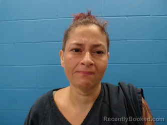 Mugshot of CRISTAL MASSEY MCGUINESS booked in Guadalupe County, Texas on May 5, 2026