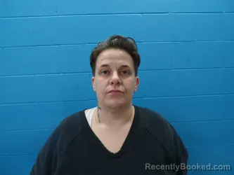 Mugshot of ERIN ELIZABETH SEARS booked in Guadalupe County, Texas on May 5, 2026