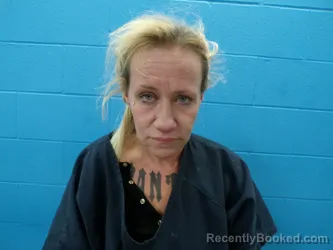 Mugshot of RENA DAWN WALKER booked in Guadalupe County, Texas on May 6, 2026
