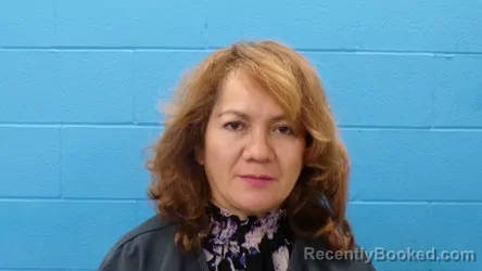 Mugshot of ROSA EDILIA TEJADA booked in Guadalupe County, Texas on July 11, 2026
