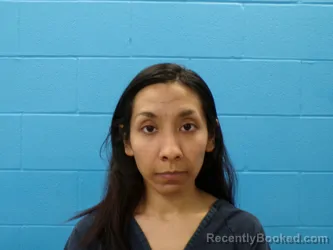 Mugshot of Jamilex Navarro booked in Guadalupe County, Texas on August 24, 2026