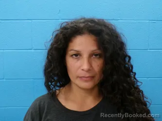 Mugshot of Tatiana Navarro booked in Guadalupe County, Texas on September 24, 2026