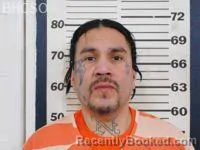 Mugshot of DOUGLAS SWANK