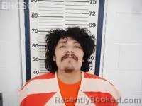 Mugshot of DAVID ANTONIO MOLINA-MENDOZA