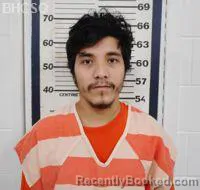 Mugshot of ROBERTO SAMANO-GARCIA